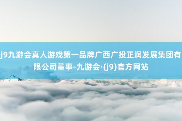 j9九游会真人游戏第一品牌广西广投正润发展集团有限公司董事-九游会·(j9)官方网站